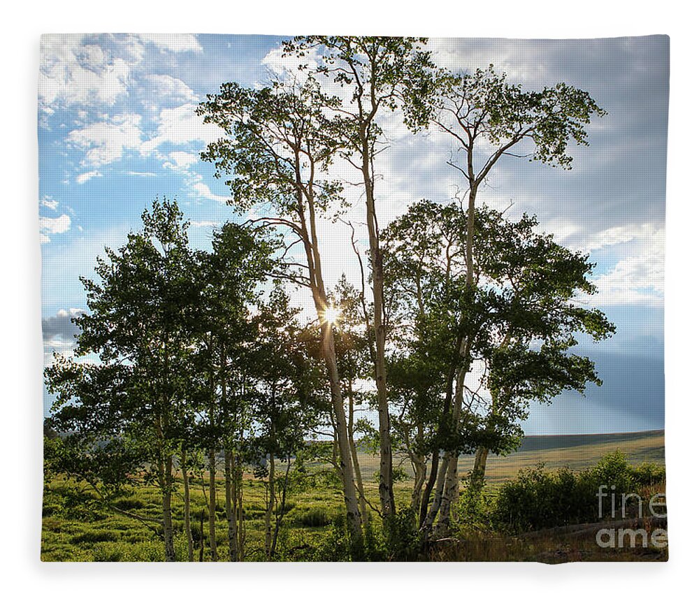 Wyoming Fleece Blanket featuring the photograph Wyoming Star by Diane Bohna