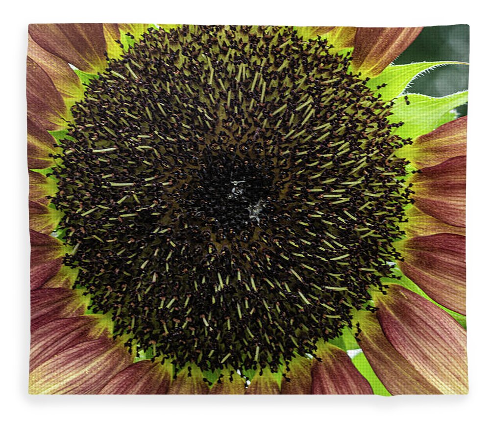 Yellow Red Flower Fleece Blanket featuring the photograph Yellow and Red Flower by David Morehead