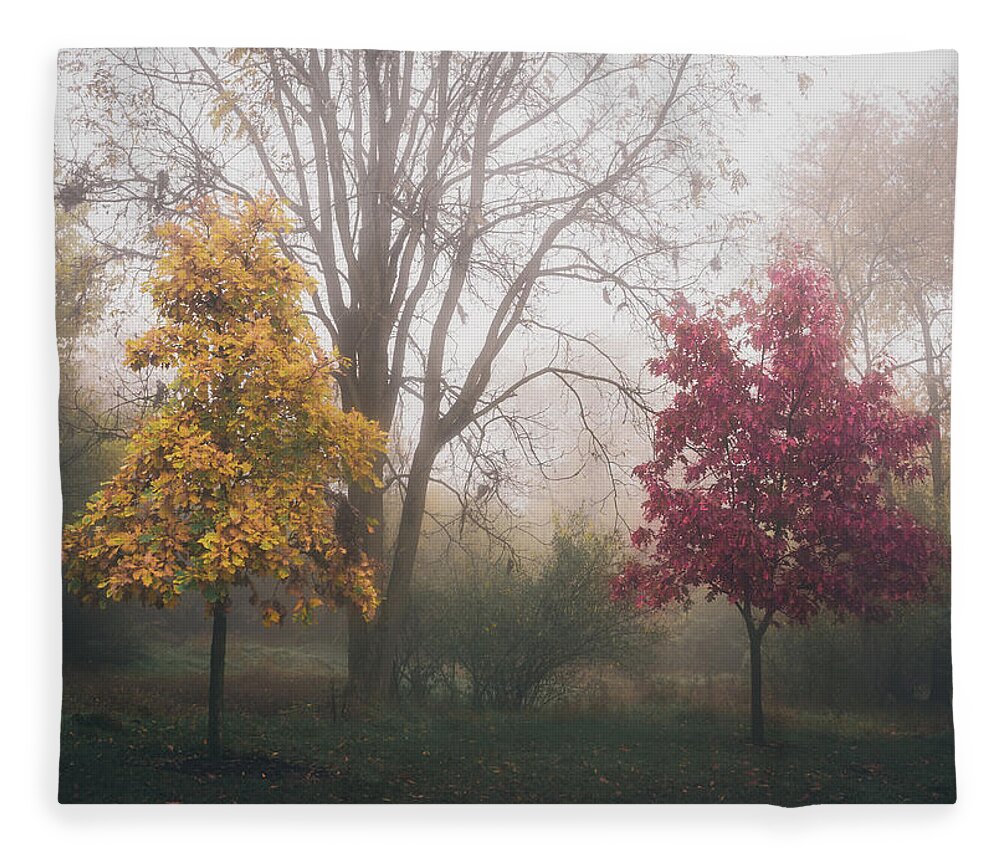 Fall Fleece Blanket featuring the photograph Yellow and Red Trees in Autumn Fog by Jason Fink
