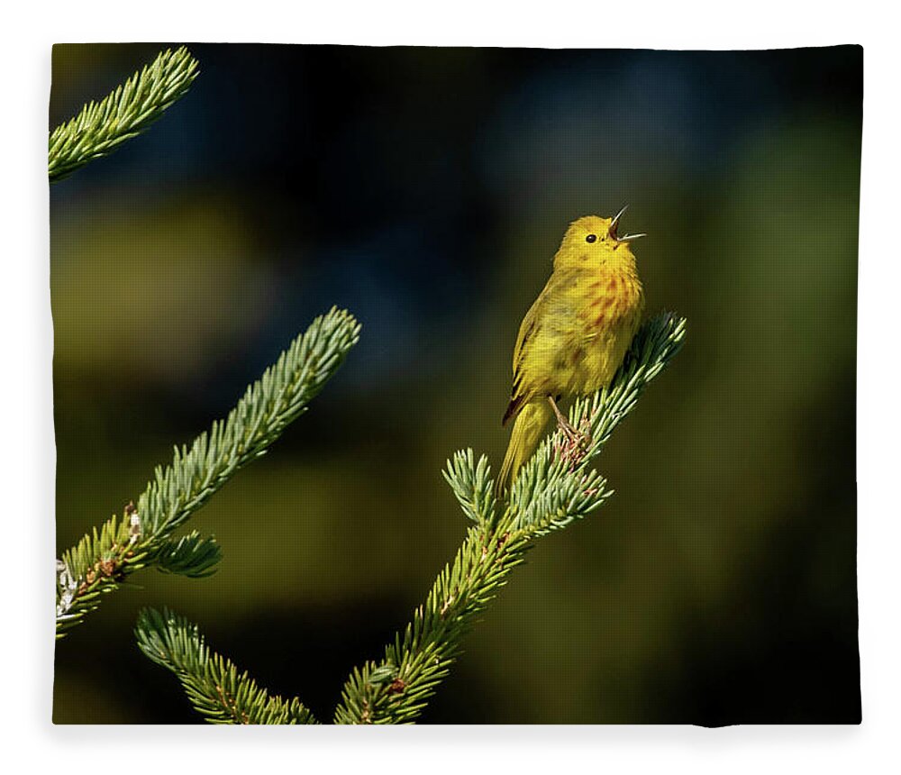 Yellow Bird Fleece Blanket featuring the photograph Yellow Bird by Dorothy Cunningham