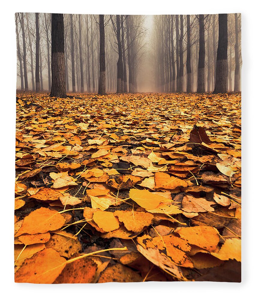 Bulgaria Fleece Blanket featuring the photograph Yellow Carpet by Evgeni Dinev