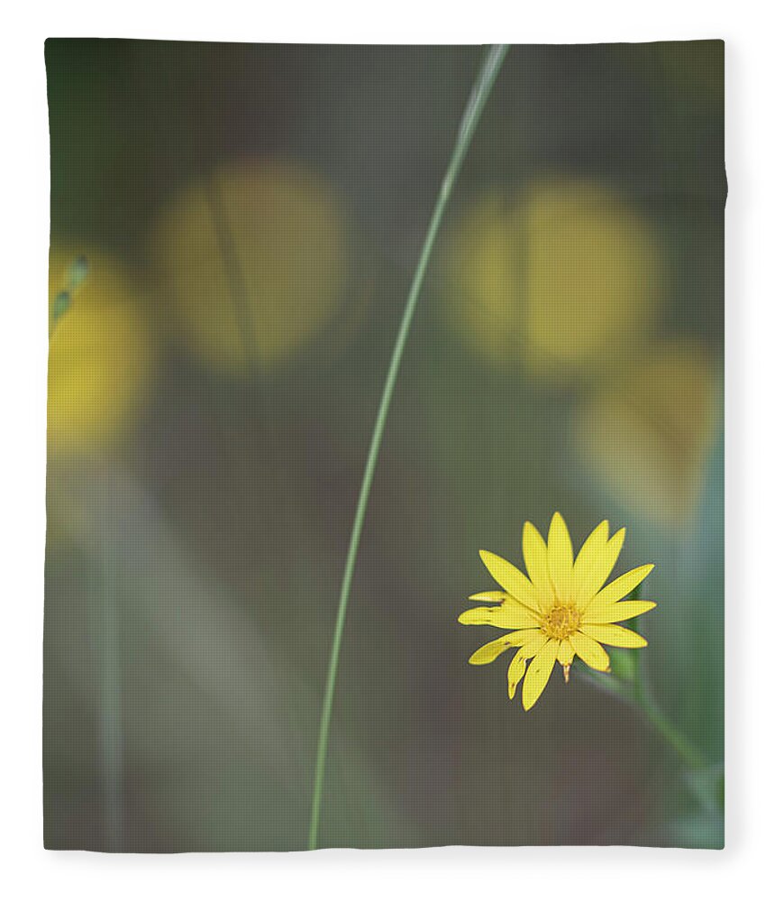 Daisy Fleece Blanket featuring the photograph Yellow Daisy Close-up by Karen Rispin