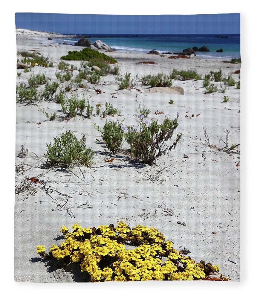 Chile Fleece Blanket featuring the photograph Yellow flowers on the beach Chile by James Brunker