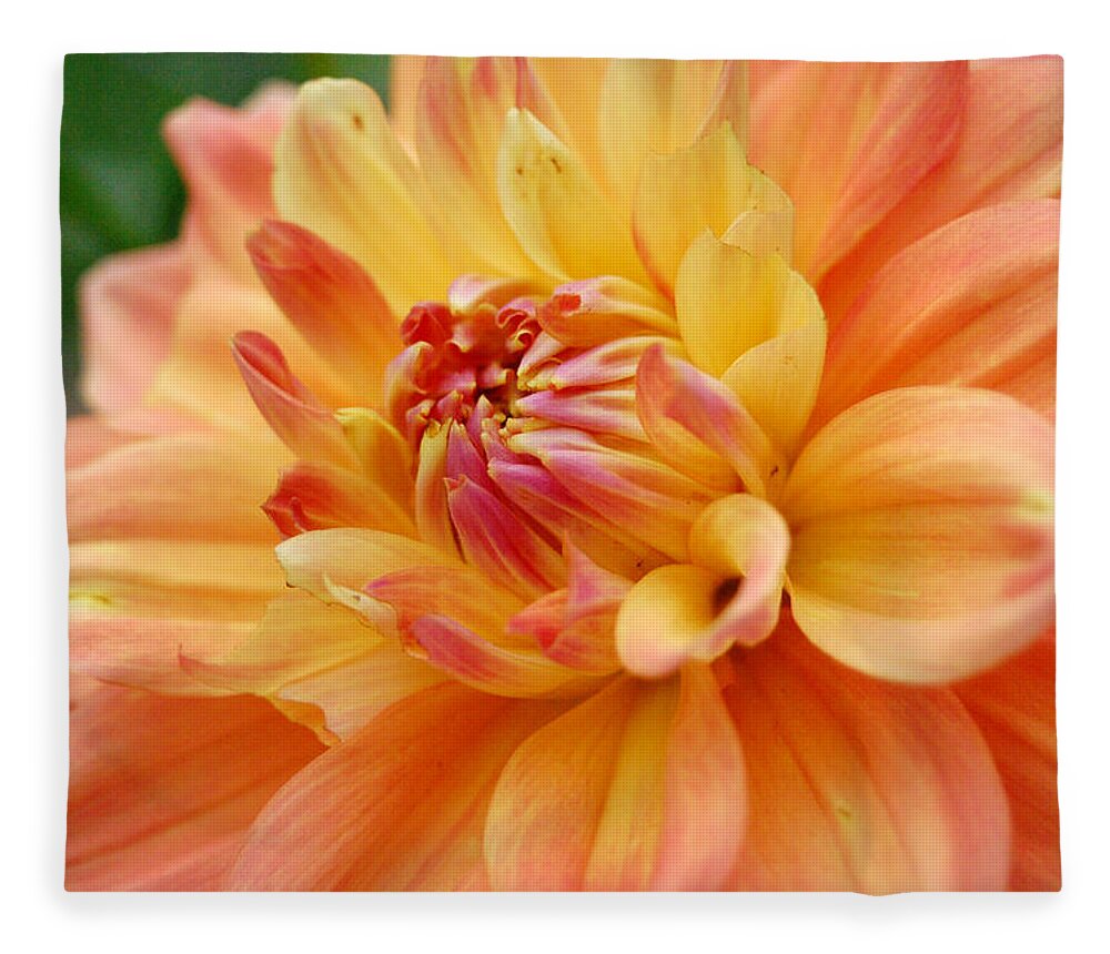 Dahlia Fleece Blanket featuring the photograph Yellow Orange Dahlia 1 by Amy Fose