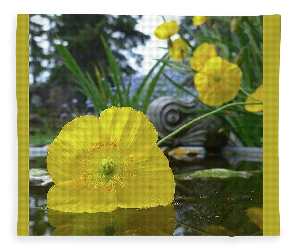 Yellow Fleece Blanket featuring the photograph Yellow poppy in a pool by Lisa Mutch