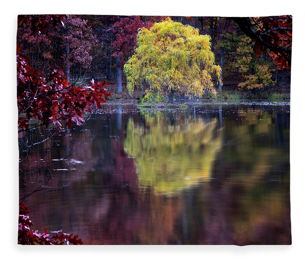 Lake Reflection Fleece Blanket featuring the photograph Yellow Reflection by Tom Singleton