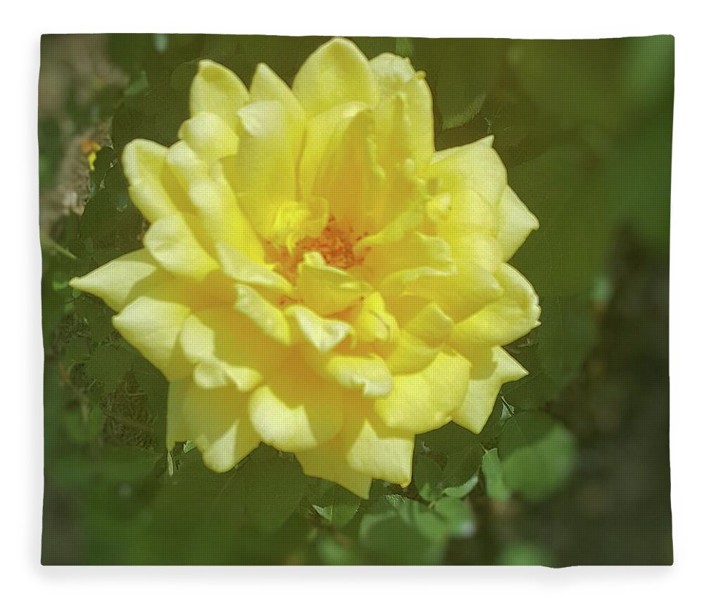 Flowers Fleece Blanket featuring the photograph Yellow Rose by Pour Your heART Out Artworks