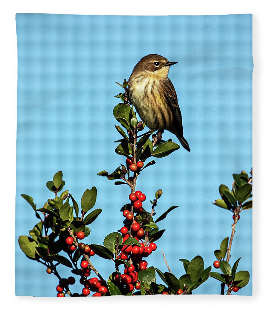 Avian Fleece Blanket featuring the photograph Yellow Rumped Warbler Perched on Wax Myrtle by Bob Decker