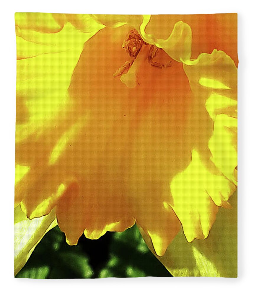 Daffodil Fleece Blanket featuring the photograph Yellow Trumpet by Brenda Kean