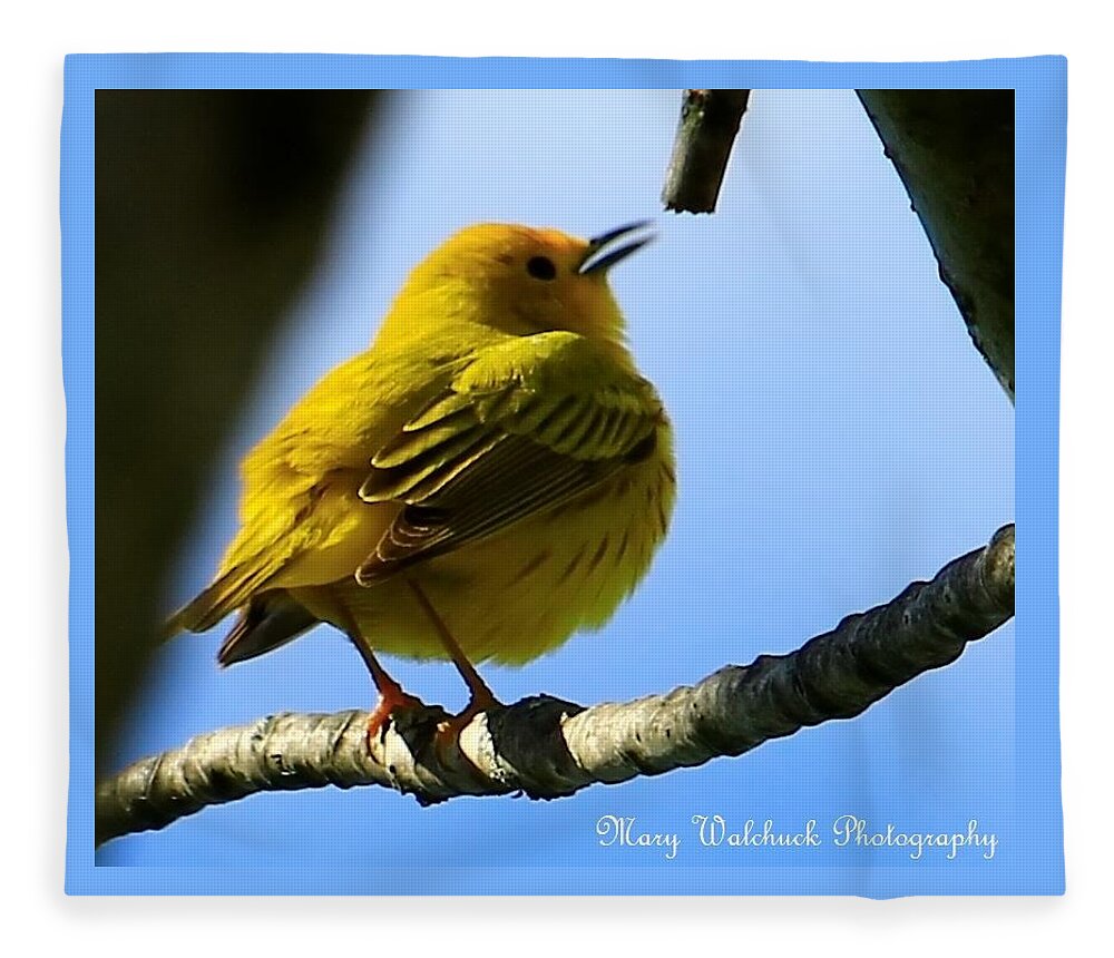 Yellow Warbler Fleece Blanket featuring the photograph Yellow Warbler Singing in the Spotlight by Mary Walchuck