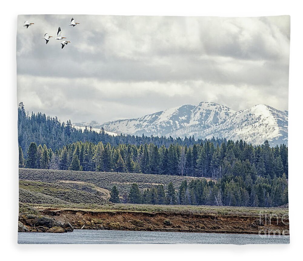 Pelican Fleece Blanket featuring the photograph Yellowstone Flight by Natural Focal Point Photography