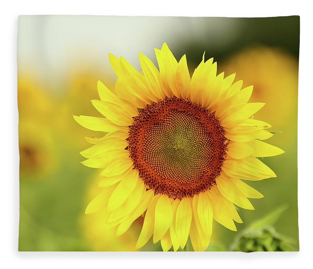Sunflower Fleece Blanket featuring the photograph Yooo Hooo by Lens Art Photography By Larry Trager