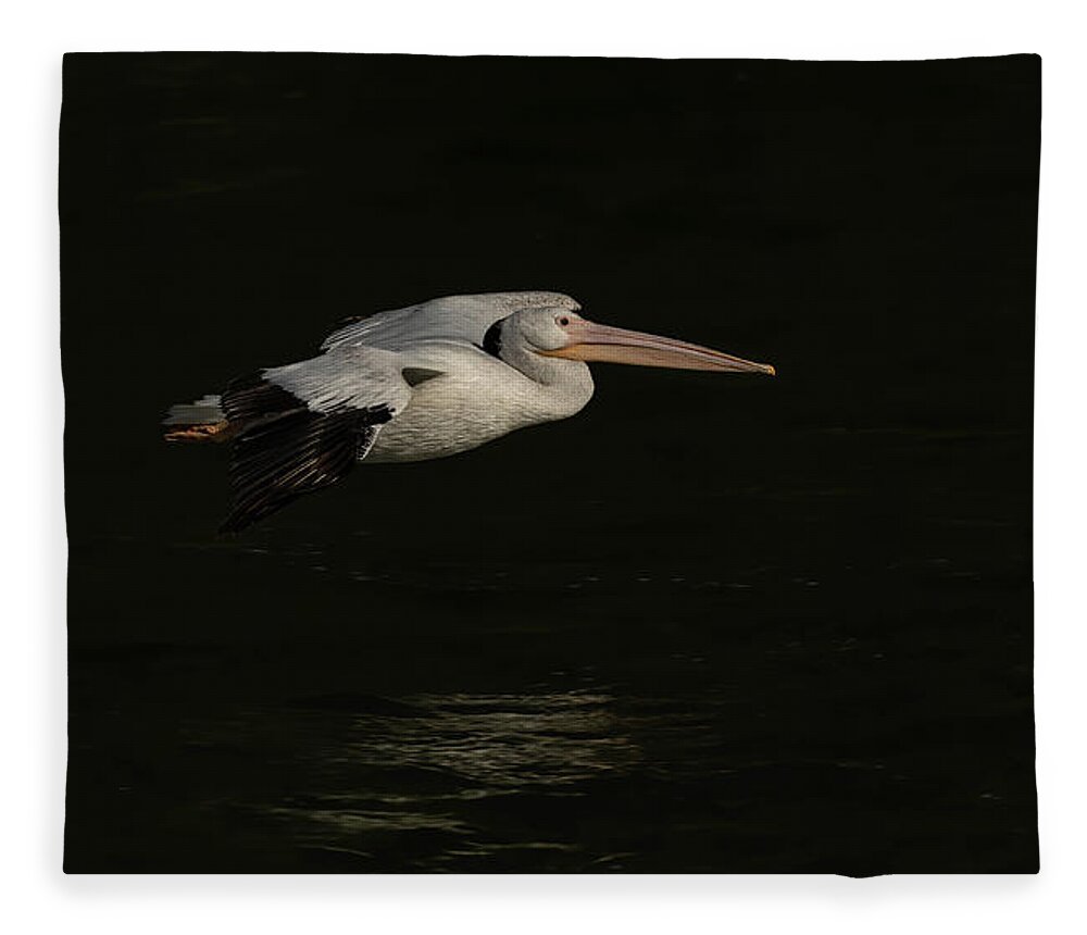 American White Pelican Fleece Blanket featuring the photograph Young Pelican 2016-8 by Thomas Young