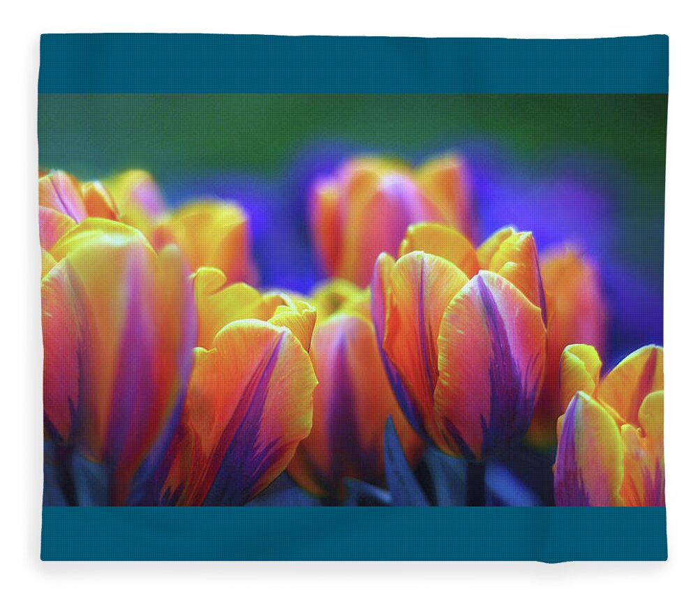 Tulips Fleece Blanket featuring the photograph Festival of Color by Jessica Jenney