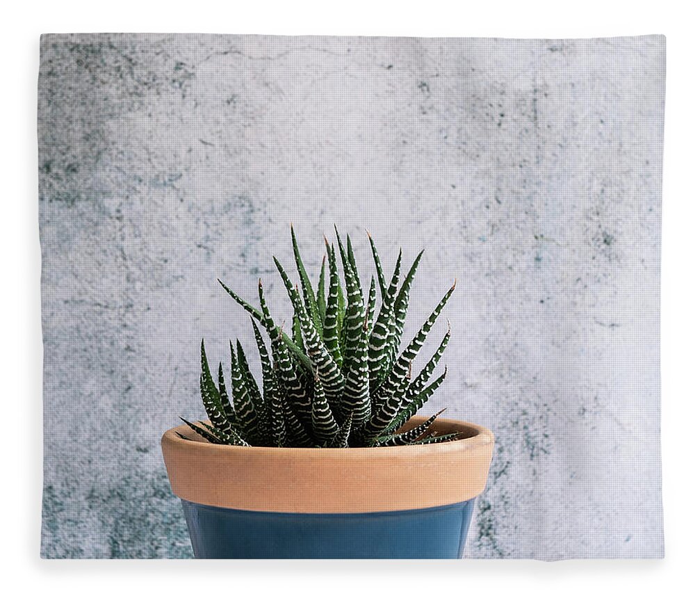 Plant Fleece Blanket featuring the photograph Zebra Plant - Striped Succulent by Jennifer Walsh