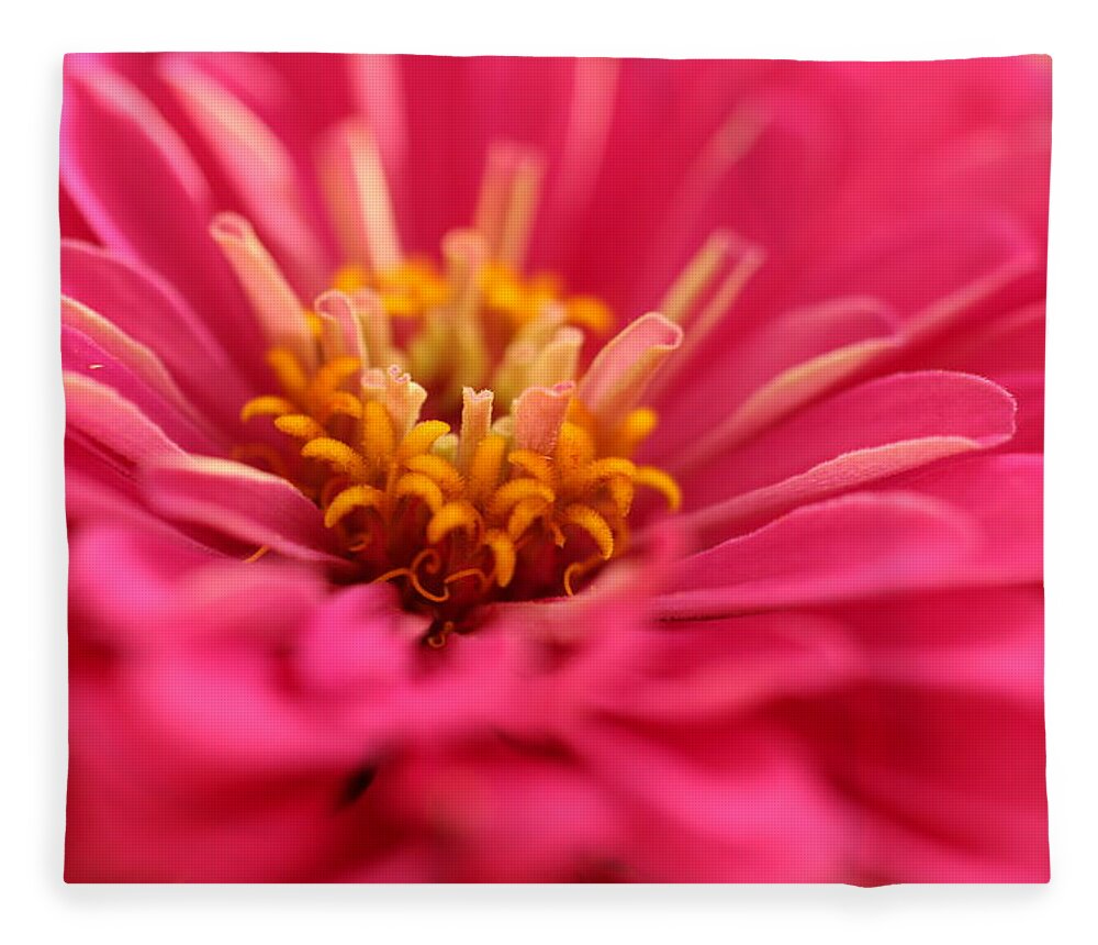 Laurie Lago Rispoli Fleece Blanket featuring the photograph Zinnia close up by Laurie Lago Rispoli
