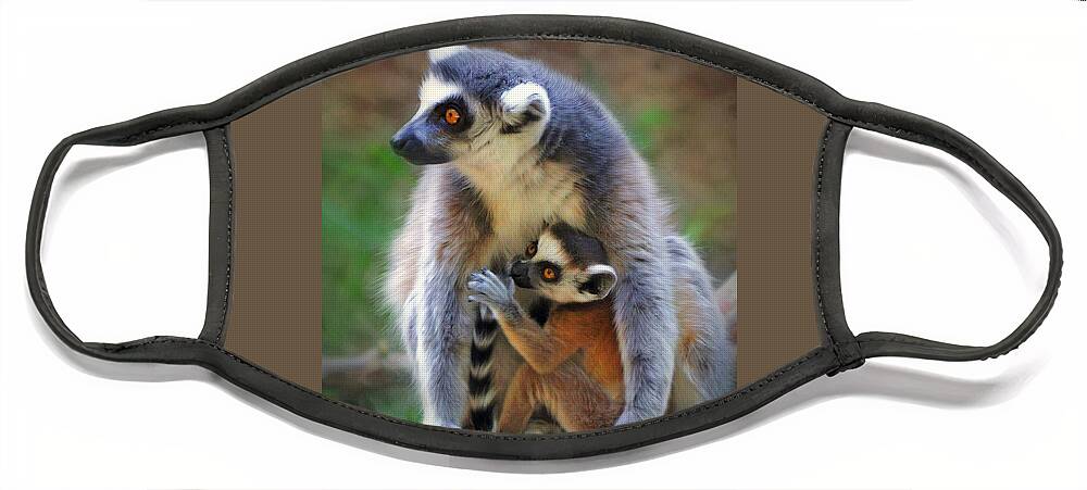 Wildlife Face Mask featuring the photograph  Mother and Baby Monkey #1 by Savannah Gibbs