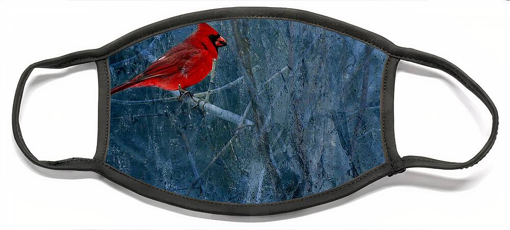 Male Northern Cardinal Face Mask featuring the photograph Northern Cardinal by Thomas Young