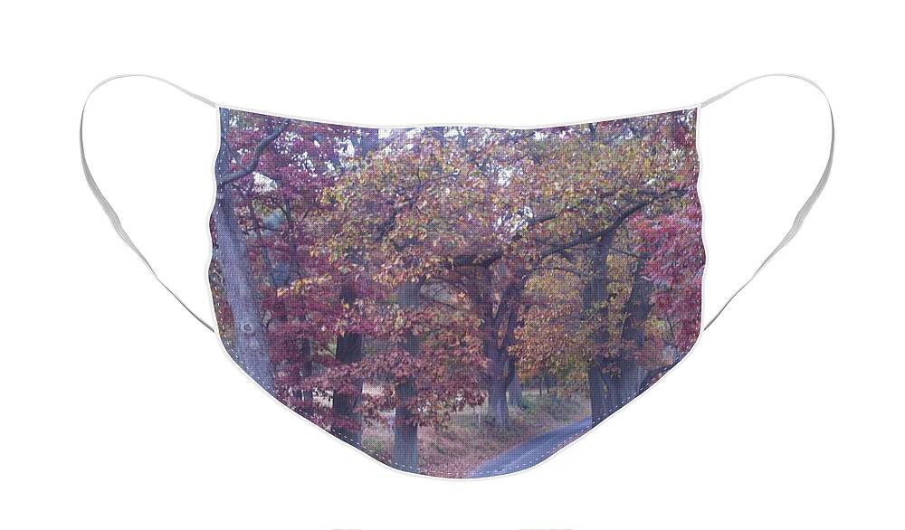 Autumn Trees Face Mask featuring the painting A Path to Follow #2 by Margaret Welsh Willowsilk