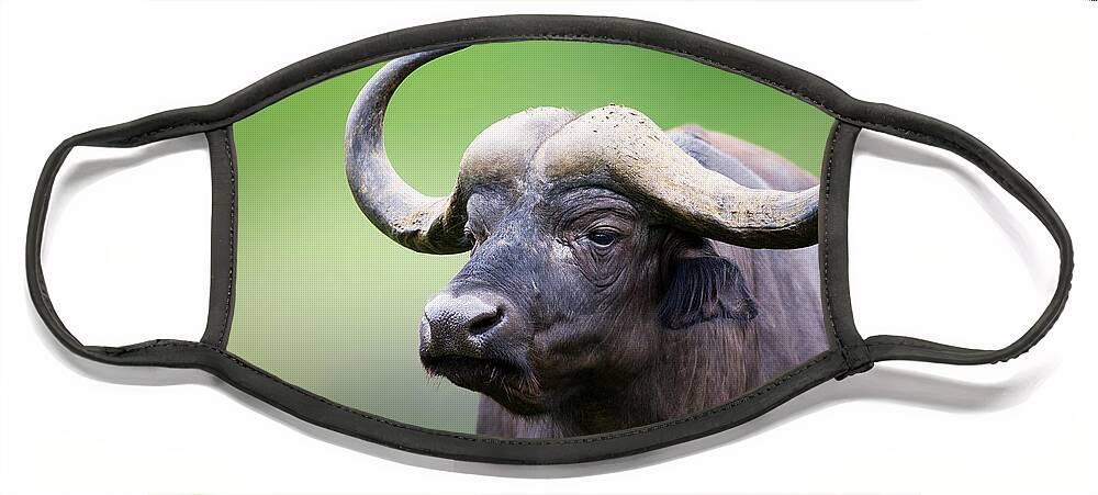 Håndfuld matchmaker pyramide African buffalo Portrait Face Mask for Sale by Johan Swanepoel