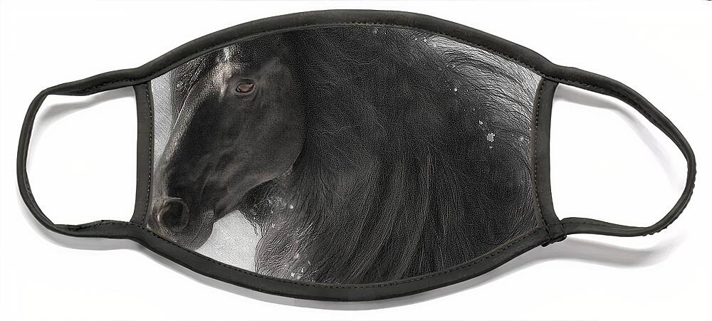 Friesian Horses Face Mask featuring the photograph Anton 343 Frosty by Fran J Scott