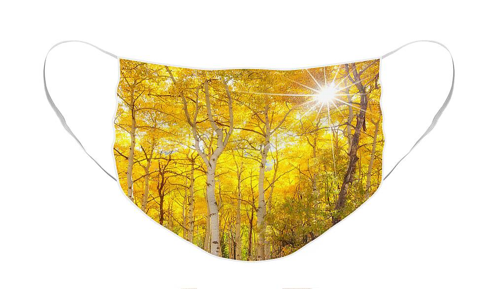 Aspens Face Mask featuring the photograph Aspen Morning by Darren White