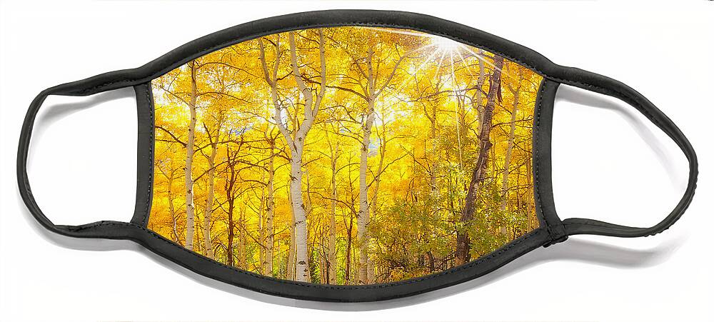 Aspens Face Mask featuring the photograph Aspen Morning by Darren White