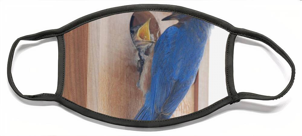 Bird Face Mask featuring the photograph Bluebird of Happiness by Kenny Glover