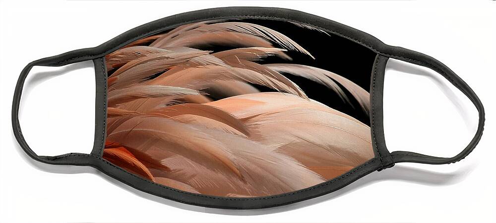 Flamingo Face Mask featuring the photograph Fabulous Feathers #1 by Sabrina L Ryan