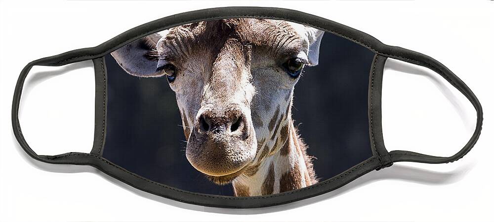 Animals Face Mask featuring the photograph Giraffe #2 by Steven Ralser