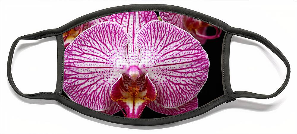 Moth Orchid Face Mask featuring the photograph Moth Orchid close up by James Brunker