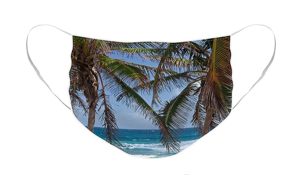 Palm Trees Face Mask featuring the photograph Serene Caribbean Beach by Sven Brogren