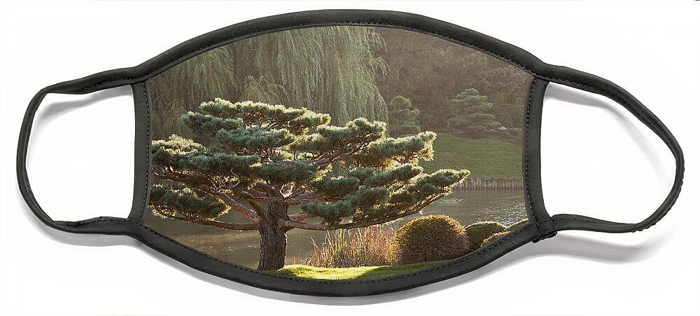 Bonsai Face Mask featuring the photograph Tranquility by Patty Colabuono