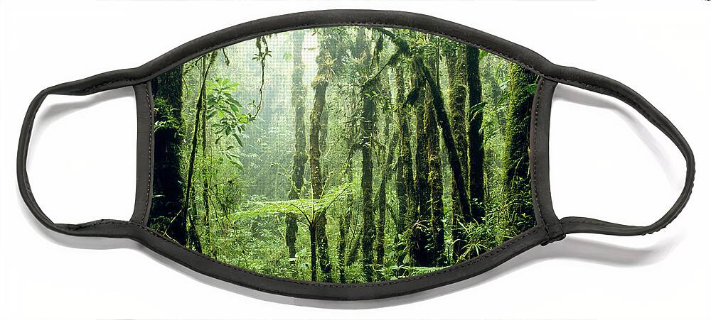 Cloud Forest Face Mask featuring the photograph Tropical Cloud Forest In Costa Rica #1 by Gregory G. Dimijian