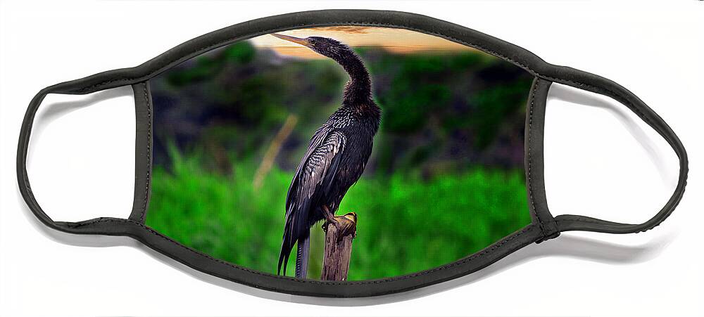 Anhinga Face Mask featuring the photograph Water Turkey by Gary Keesler