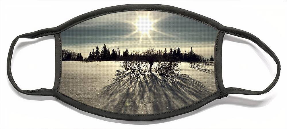 Alaska Face Mask featuring the photograph Winter Shadows #1 by Michele Cornelius