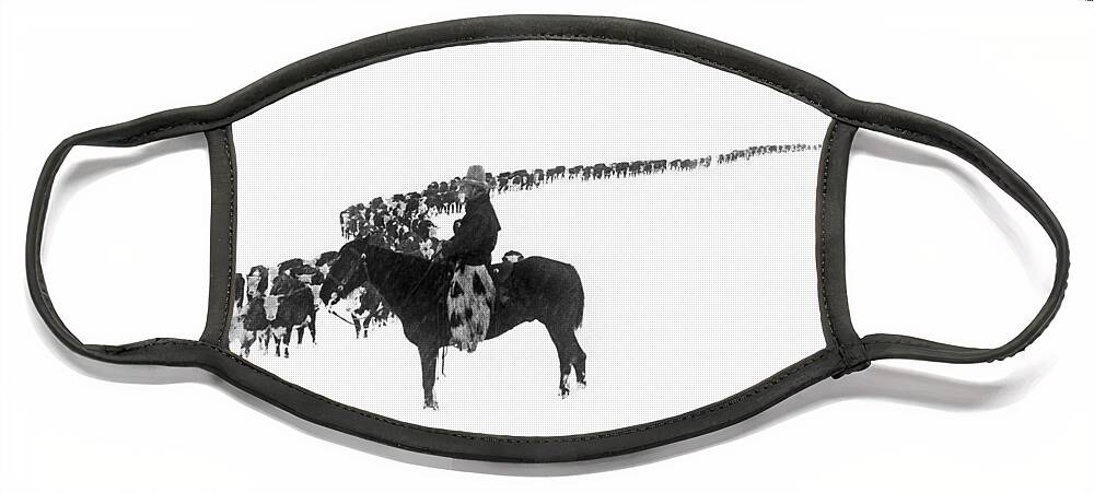 1920s Face Mask featuring the photograph Wintertime Cattle Drive by Underwood Archives Charles Belden