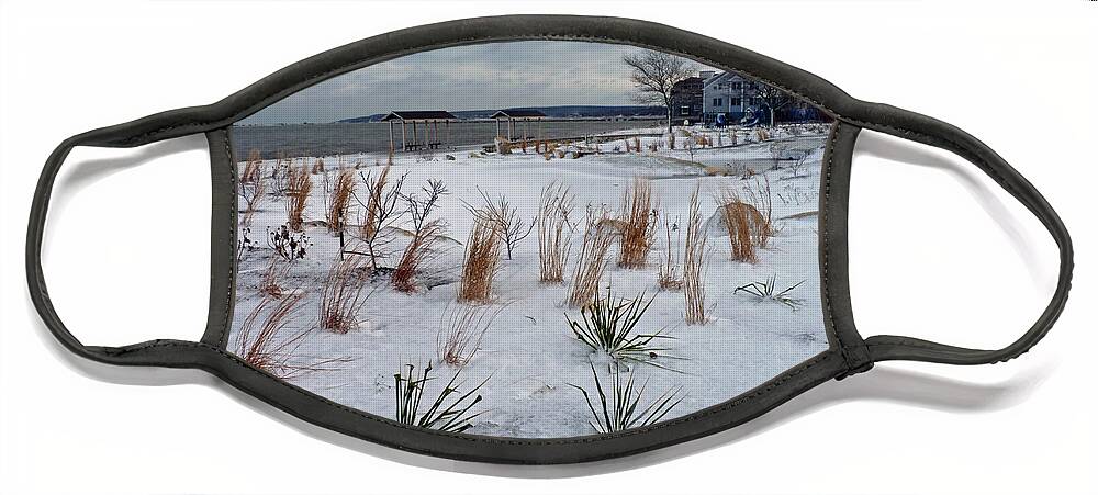 Beach Grass Face Mask featuring the photograph Blowing in the wind by Janice Drew