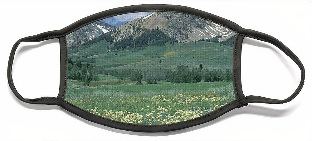 Boulder Mountains Face Mask featuring the photograph Boulder Mountains, Idaho #2 by William H. Mullins