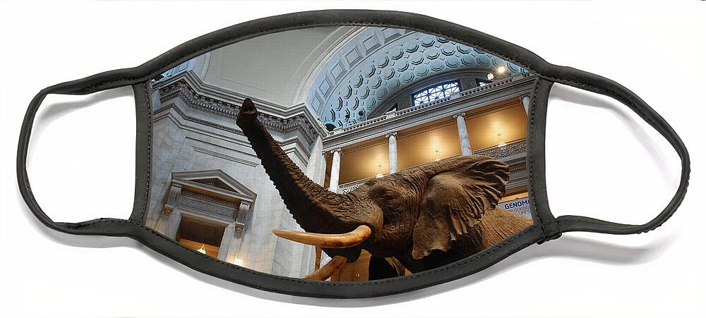 Bull Elephant Face Mask featuring the photograph Bull Elephant in Natural History Rotunda by Kenny Glover