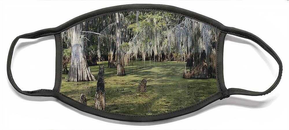 Bald Cypress Face Mask featuring the photograph Caddo Lake, Texas #2 by Gregory G. Dimijian, M.D.