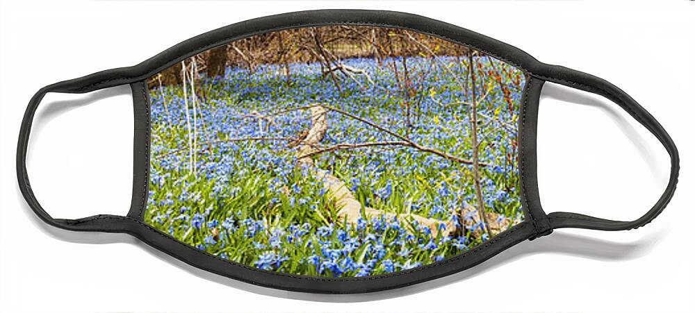 Flowers Face Mask featuring the photograph Carpet of blue flowers in spring forest 1 by Elena Elisseeva