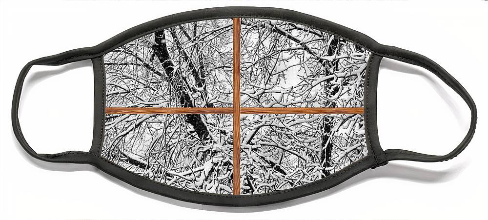 Windows Face Mask featuring the photograph Snowy Tree Branches Barn Wood Picture Window Frame View by James BO Insogna