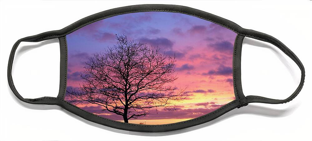Spectacular Sunset Epsom Downs Surrey Uk Dusk Pink Sky Twilight Tree Silhouette Orange Sun Set Down English England Branches Lone Purple Blue Face Mask featuring the photograph Spectacular sunset Epsom Downs Surrey UK #3 by Julia Gavin
