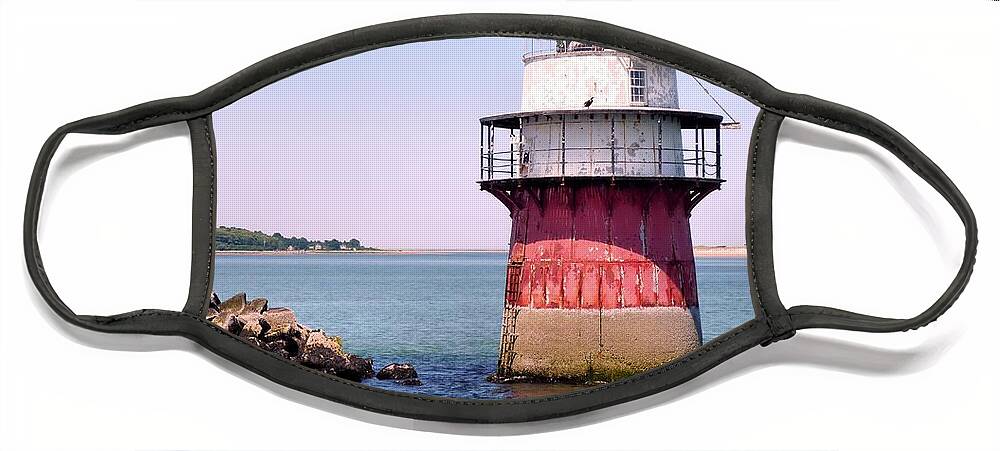 Lighthouses Face Mask featuring the photograph Bug Light by Janice Drew