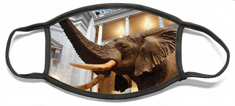 Bull Elephant Face Mask featuring the photograph Bull Elephant in Natural History Rotunda by Kenny Glover