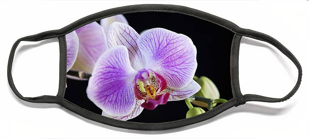 Orchid Face Mask featuring the photograph Pink Orchid flower by Michalakis Ppalis