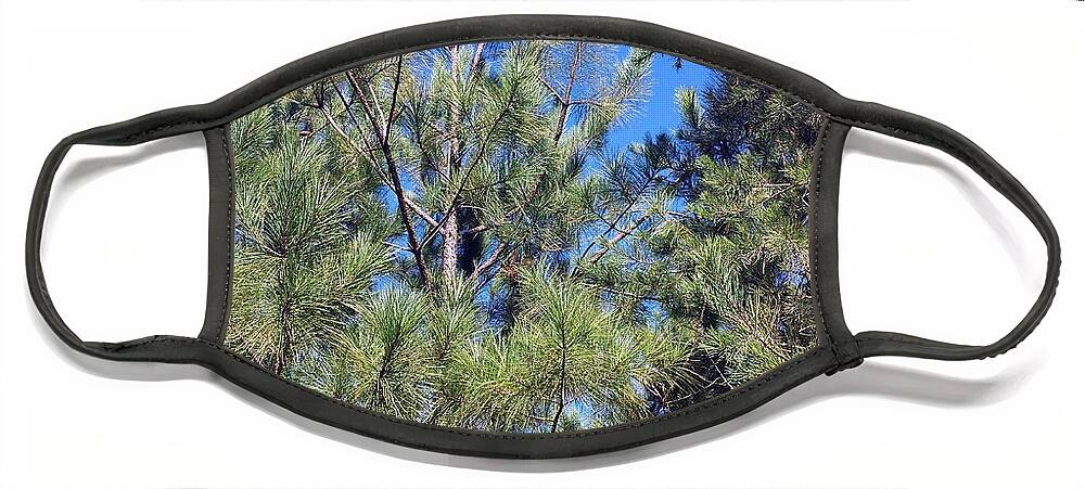 Pine Face Mask featuring the photograph Pine Forest Fall by Kenny Glover