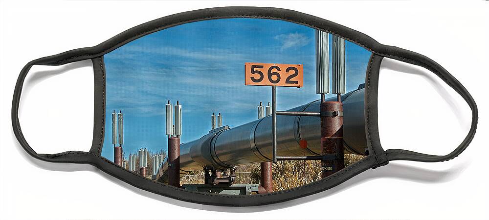 Nature Face Mask featuring the photograph Alaska Oil Pipeline #4 by Mark Newman