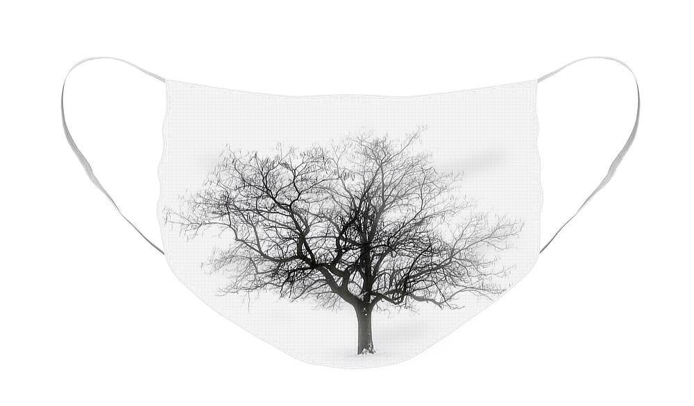 Tree Face Mask featuring the photograph Lone winter tree in fog by Elena Elisseeva